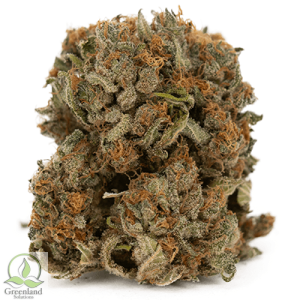 Buy GMO Garlic Cookies online