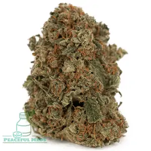Buy Girl Scout Cookies Online