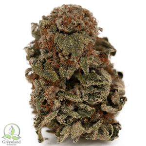 Buy Frozen Runtz weed online