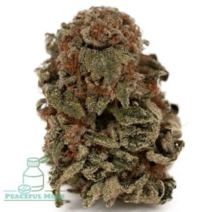 Buy Frozen Runtz Weed Online