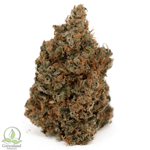 Buy Galeto Weed Online