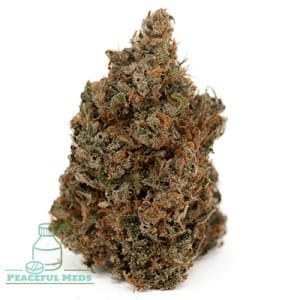 Buy Galeto Weed Online