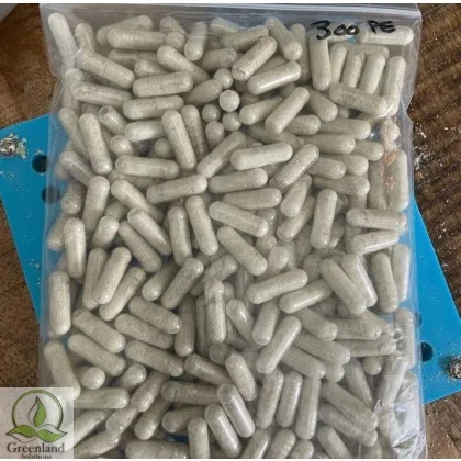 Mushroom Capsules